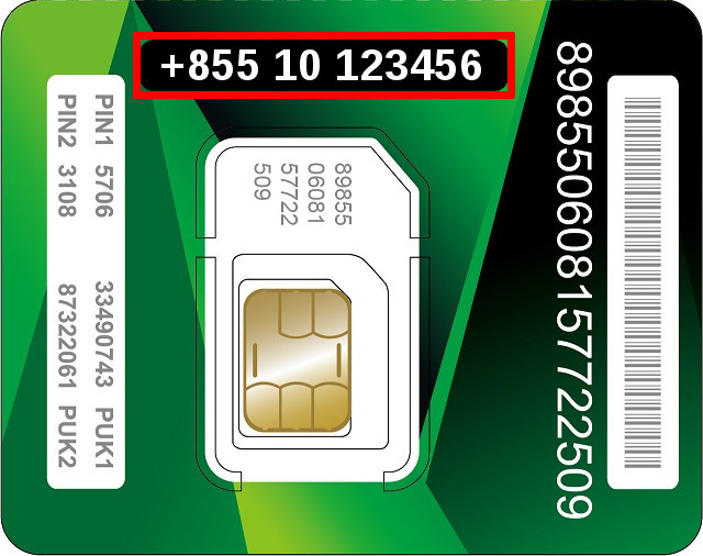 Image of the SIM card
